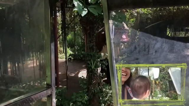 Jurassic Safari Ride | Dinosaurs Island смотреть онлайн
