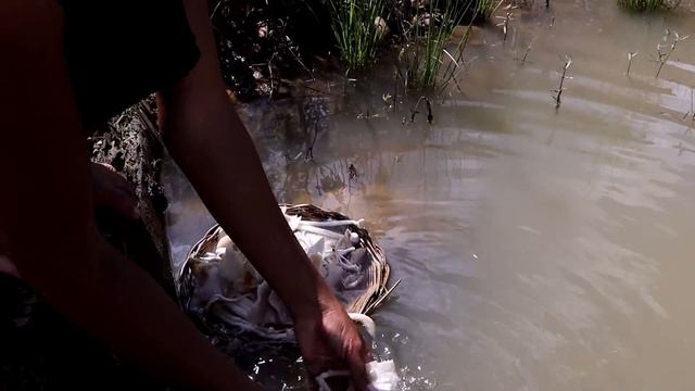 Survival skills: Pick Mushroom plant Catch fish in the lake- Mushroom soup spicy delicious with fis смотреть онлайн