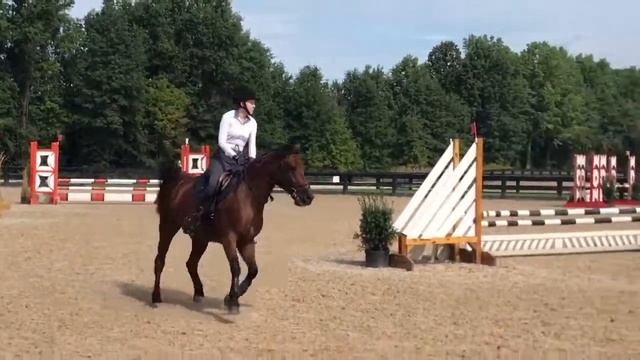 Brave horse .80m add back II.2.c смотреть онлайн