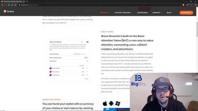 Should I use Brave Browser 5 Reasons to use Brave Browser Shields, Rewards and More смотреть онлайн