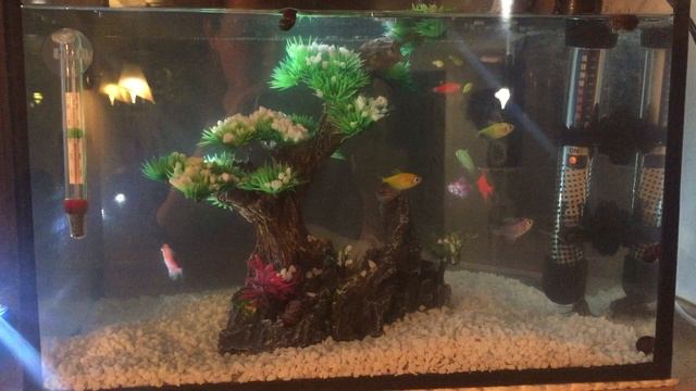 15 переставила свет на как вчера - светодиодный фонарик сбоку смотреть онлайн