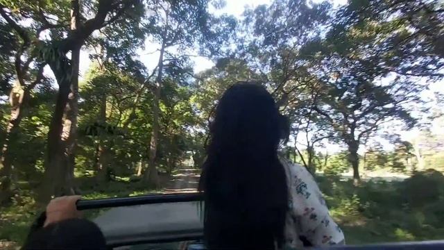 Kaziranga Zeep Safari, Agoratoli range смотреть онлайн