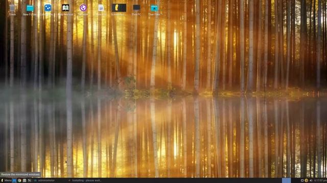 Linux Lite 6.0 Run Through смотреть онлайн