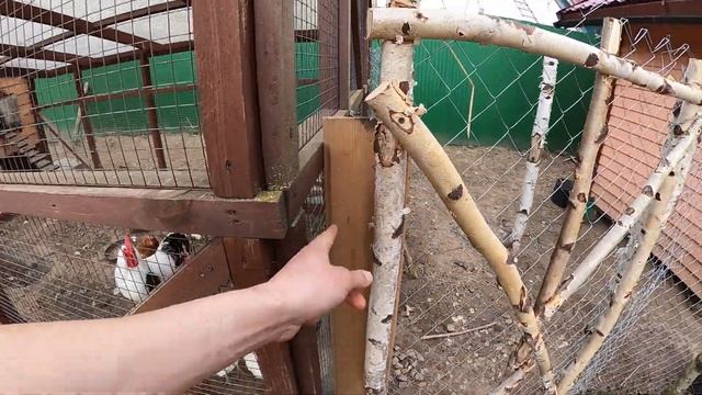 Сделал дверь из березы смотреть онлайн