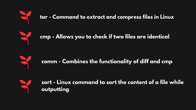 Top 50+ Linux Commands You MUST Know | #kalilinux #kalilinuxcommands #cybersecurity Ali tech смотреть онлайн
