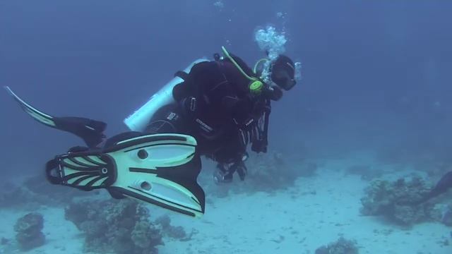 Seawolf Safari 23-03-2017 - 30-03-2017 - Day 1 Dive 1 Poseidon Reef смотреть онлайн