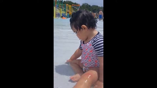 Lion Country Safari - water park fun смотреть онлайн