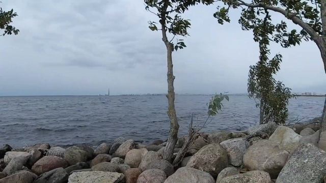 Канонерский остров + новая кухня | ВЕЛОВЛОГ №4