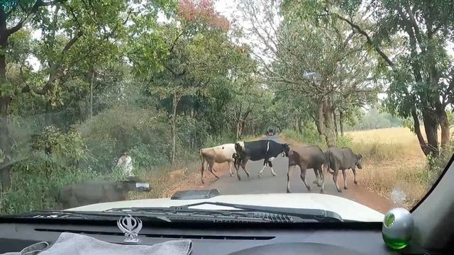 Goa - Ladakh Trip in Winter Ep.1 || Tata Safari Storme || Goa To Pune || Harry Dhillon2.0 смотреть онлайн