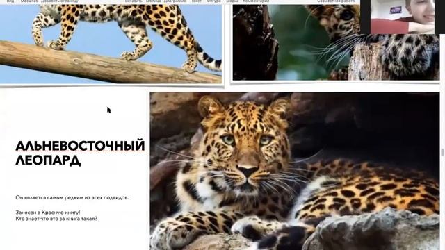 Новое путешествие | Южная Корея смотреть онлайн