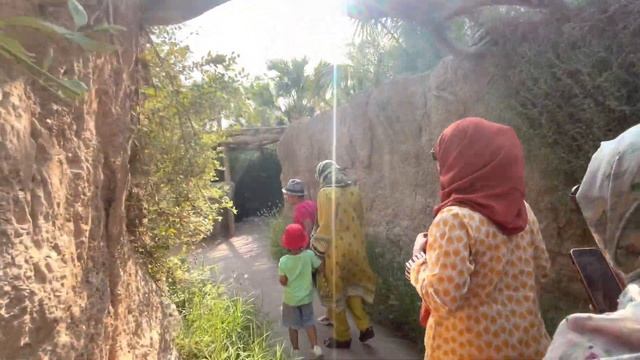 Sharjah Safari Park | Animal World #sharjahuae #safaripark #familyoutings