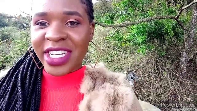 NAIROBI SAFARI WALK VLOG смотреть онлайн