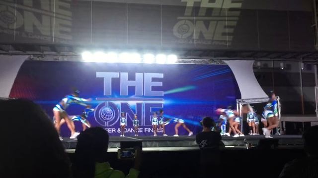 Ellenwood all-stars junior 3 chrome 2013-2014 WSA the one finals champions смотреть онлайн