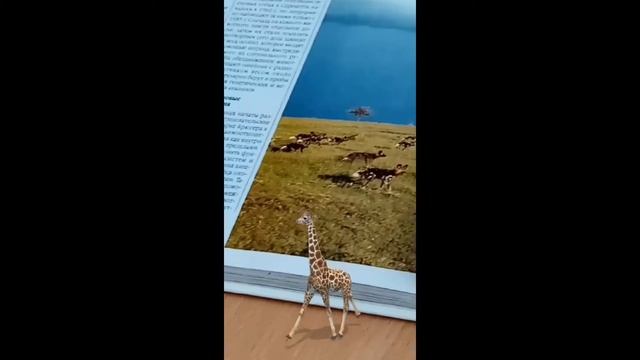 День открытых дверей в ДБ №2 смотреть онлайн