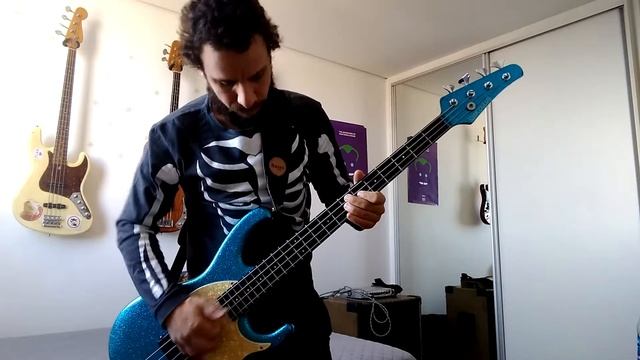FIGHT LIKE A BRAVE (RHCP) - Bass Cover смотреть онлайн