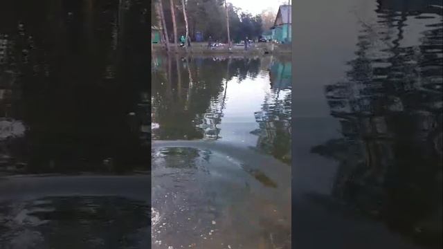 запуск форели смотреть онлайн