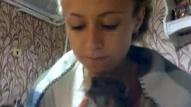 chinchilla 1 смотреть онлайн