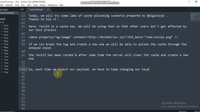 Basic Cache Poisoning Lab ( by digininja ) Solution | 0xshahriar смотреть онлайн