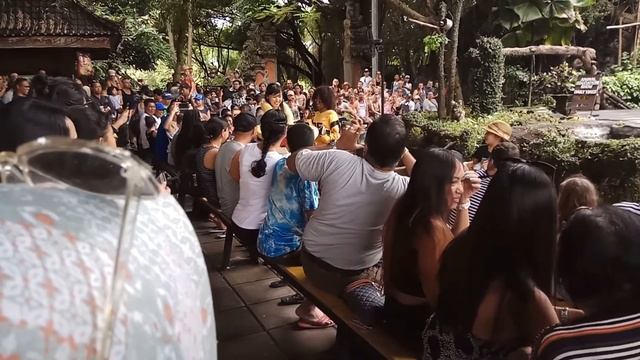 BALI SAFARI & MARINE PARK | DAY 3 PT. 2 | 27 DECEMBER 2017 | ZHIYUN SMOOTH Q | XIAOMI REDMI NOTE 4 смотреть онлайн