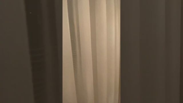 #шторыназаказ #шторывгостинную #шторымосква #пошивштор #жалюзи #карнизы #плиссе #дизайнинтерьера смотреть онлайн