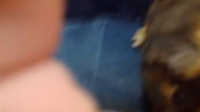 Джоник Первый День Дома!!13.03.2016