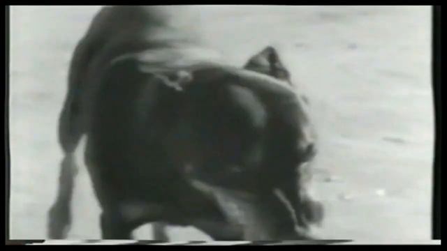 Black Sabbath - No Stranger to Love [HD]