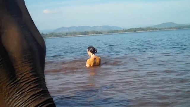 Mia et Noam Chocron en Thailande - Mia saute dans l'eau du haut de son elephant смотреть онлайн