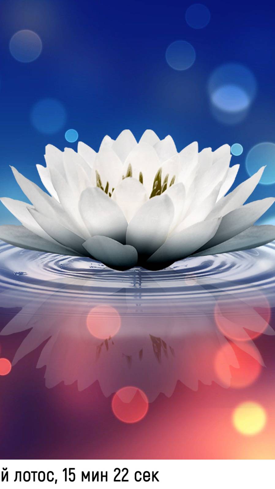 Музыкальный лотос