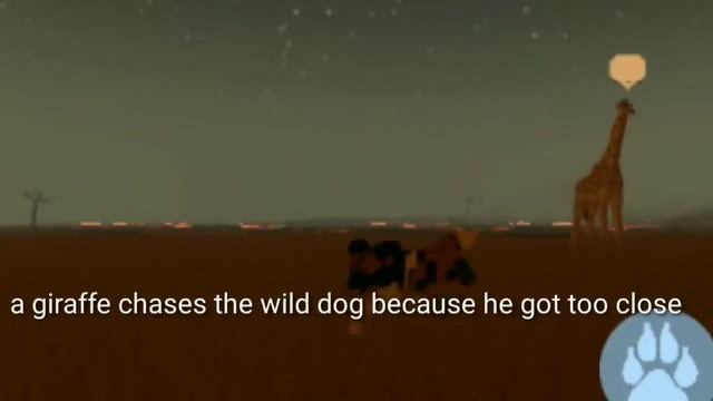 life of a lone wild dog ||a playbox safari documentary|| смотреть онлайн