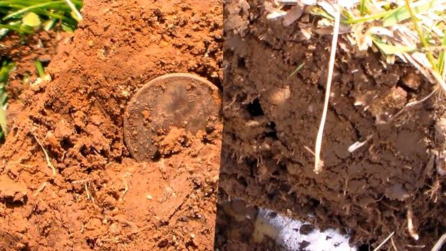 E Trac Metal Detecting...Park hunt...Wheats and a truck... смотреть онлайн