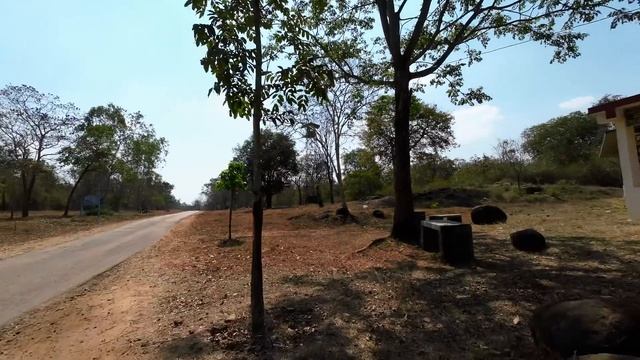 Wildlife photography safari at #nagarholenationalpark via Veeranahosahally gate. #kabini смотреть онлайн