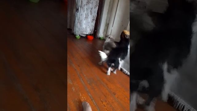 мама учит сына.