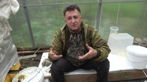 Перетопка Забрусного воска  Прополисные холстики