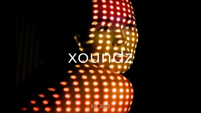 Safe - Monkey Safari