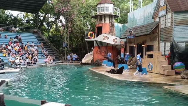 SAFARI WORLD BANGKOK Full Tour Safari World and Marine Park Bangkok Thailand Dolphin Show Bangkok смотреть онлайн