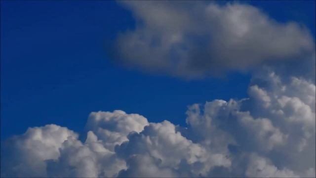 Vivaldi – Summer from The Four Seasons смотреть онлайн