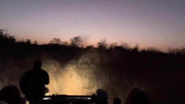 Simbavati Safari - South Africa 2022 смотреть онлайн
