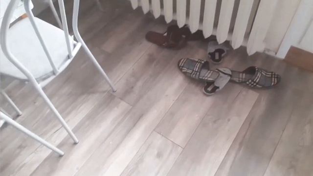 Vlog👨👩👧👦 Поставили двери/Тюль готова/Ножки/Покупки в Ермолино/Еда/Поздравление. смотреть онлайн