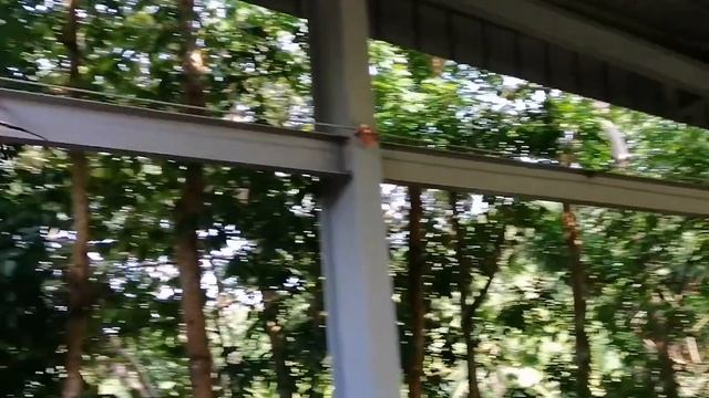 Cebu Safari Adventure смотреть онлайн