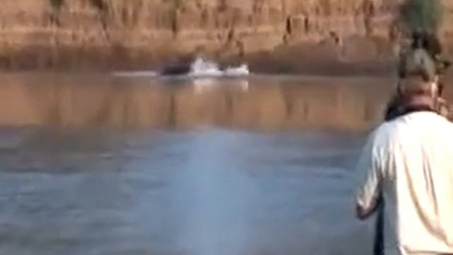 Stone Hunting Safaris Hippo смотреть онлайн