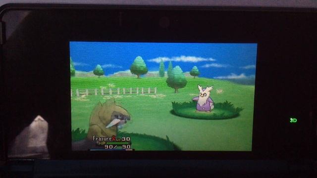 Pokemon Y Shiny Delibird ( 70 RE ) Friend Safari смотреть онлайн