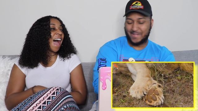 Brave Wilderness "BITE of the KING!" REACTION!!! смотреть онлайн