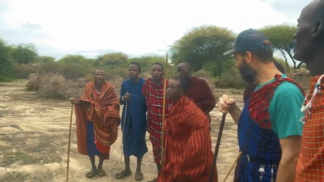 SAFARI TANZANIA смотреть онлайн