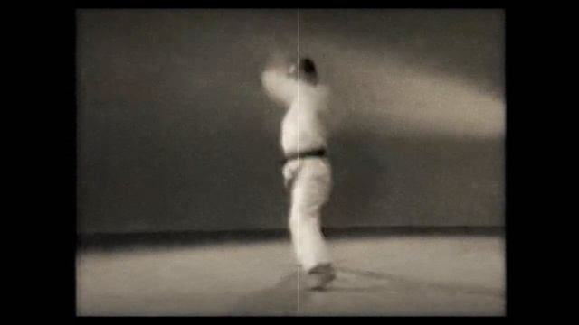 20 Каратэ. Наследие Накаямы. Ката Чинтэ