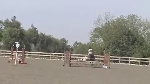 Plantation Starter Training SJ XC смотреть онлайн