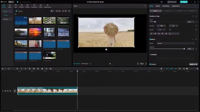 CapCut Desktop Editor - Lesson 22 - Video Position, Size and Rotate смотреть онлайн