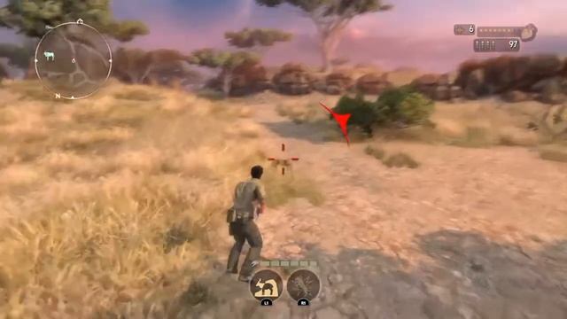 Cabela's African Adventures - Cheetah Location in Dry Savannah смотреть онлайн