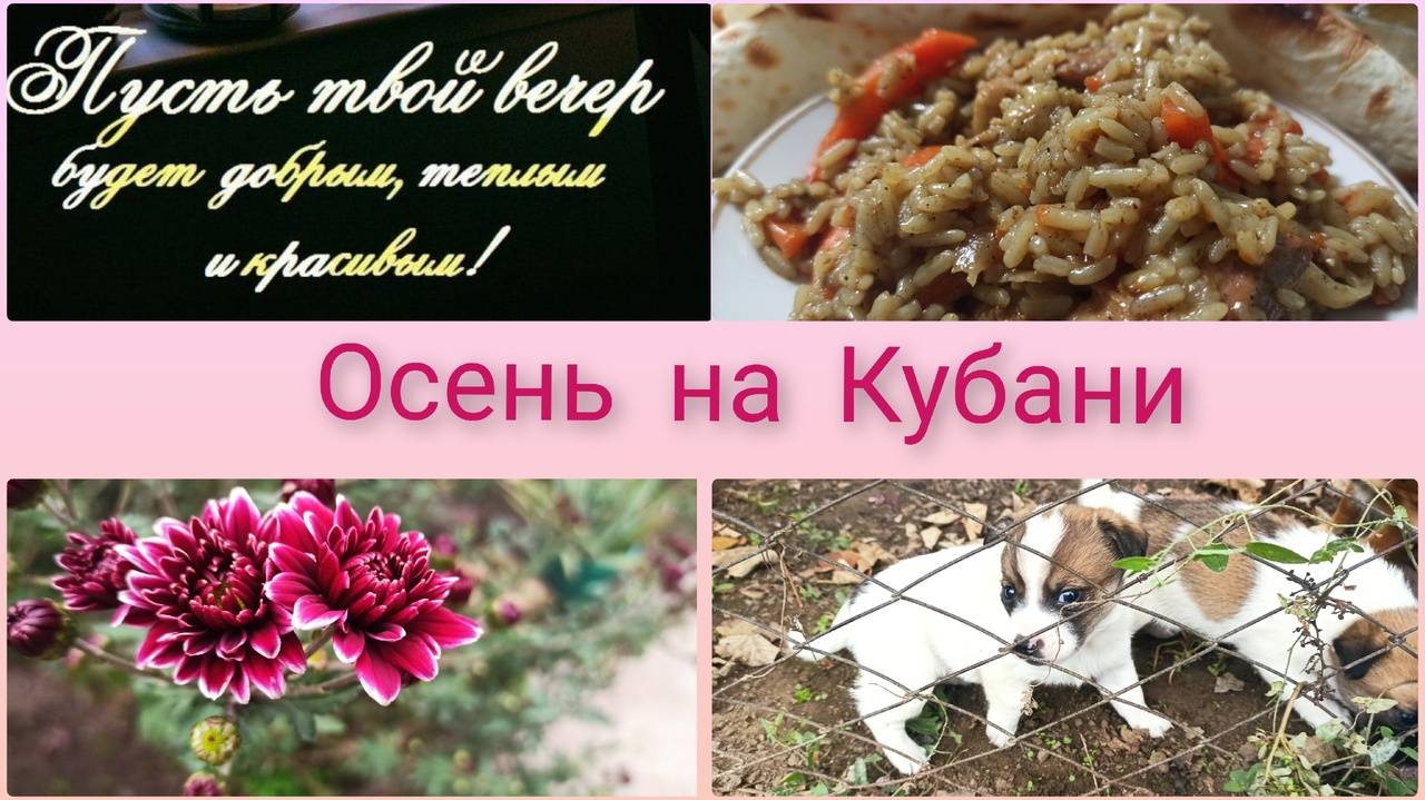 Гениальная идея/Волшебное зелье/Батя у мангала/Не большой, но праздник. смотреть онлайн