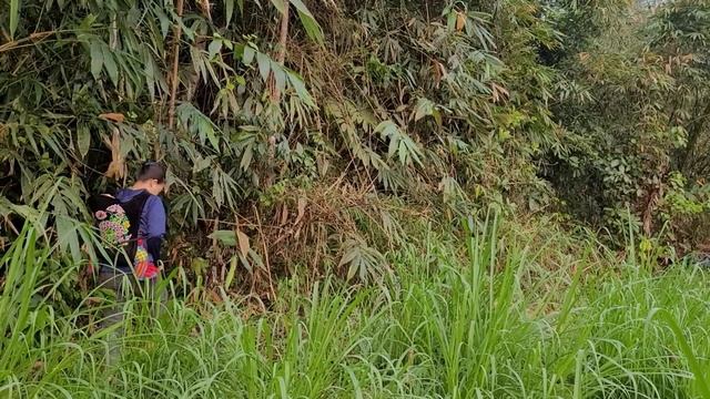 Single Mother, Builds A House Out Of Bamboo, Meets An Abandoned Newborn Baby Ll Ly Ca Ca Ll