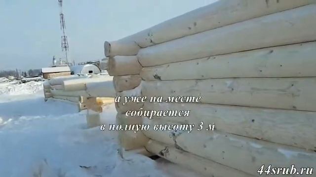 Сруб из зимнего северного леса смотреть онлайн